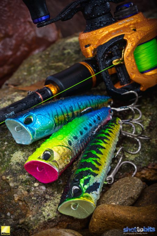 Duo Realis Fangpop