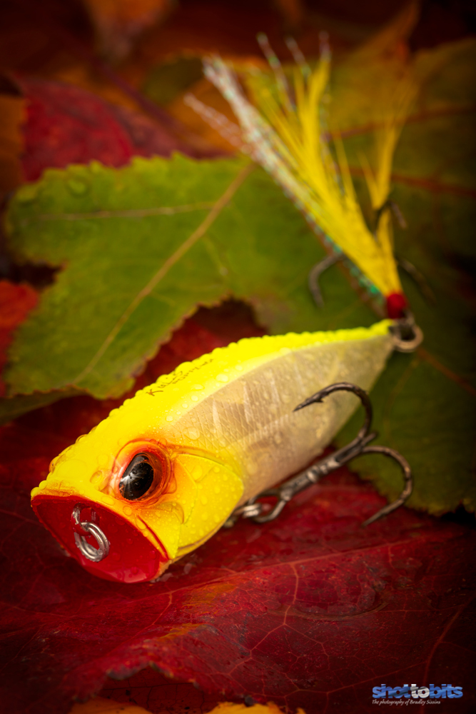 Duo Realis Popper 64 Autumn Colors