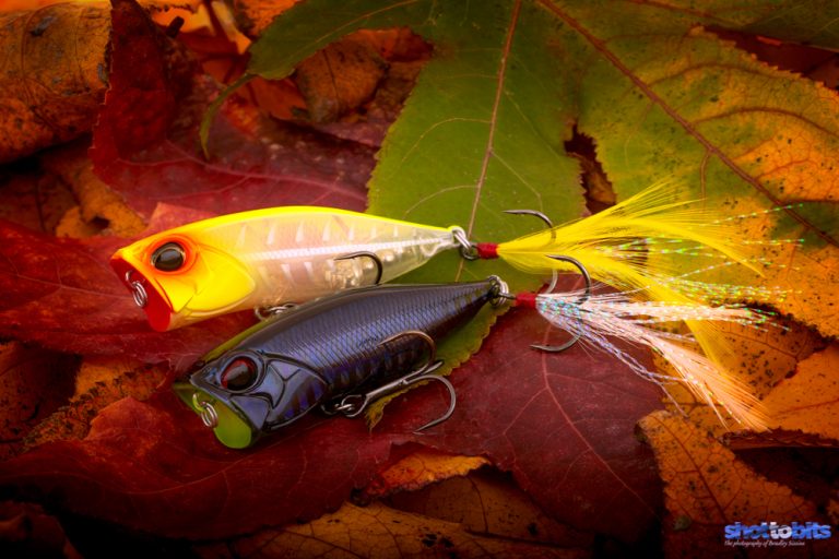 Duo Realis Popper 64 Fall Colors