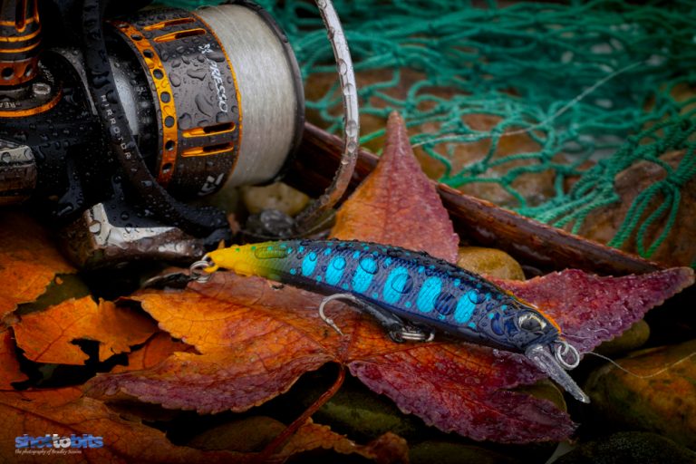 DUO SPEARHEAD RYUKI (DUO×D-3 custom Lure) Autumn Colour