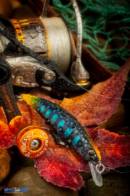 DUO SPEARHEAD RYUKI (DUO×D-3 custom Lure) Autumn Colours