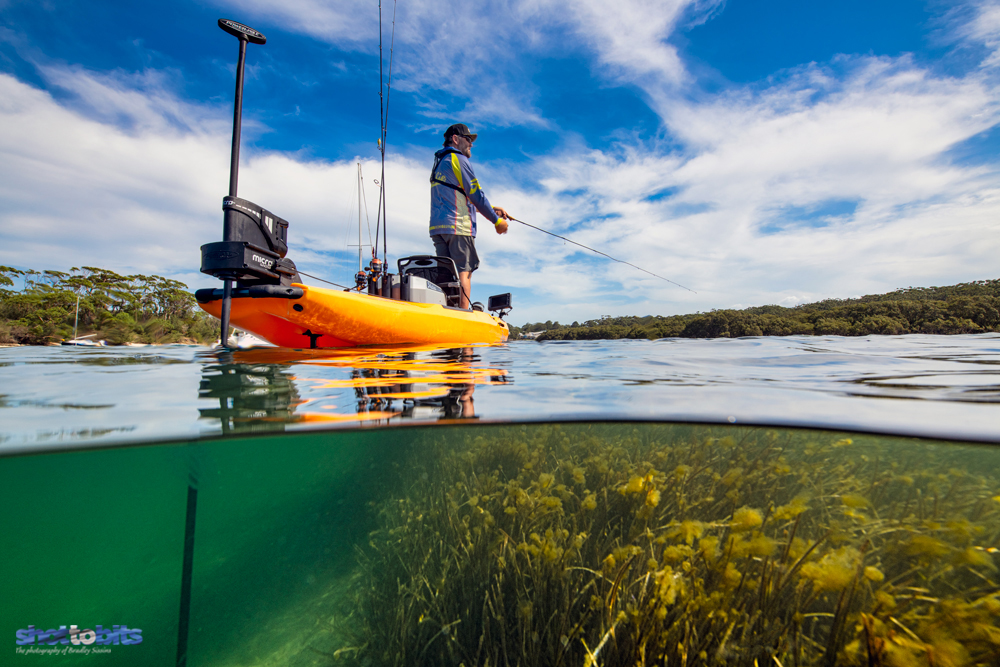 Seagrass Edge Cranking, Currambene Creek, Huskisson, NSW, Australia 