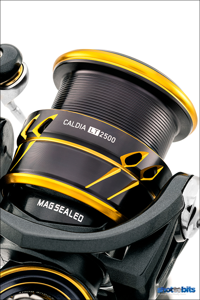 DAIWA CALDIA LT LC ABS