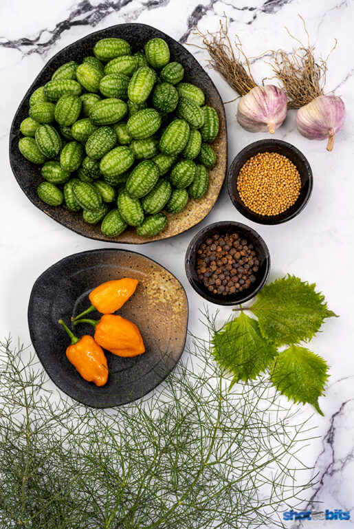 CUCUMELON  PICKLE PREPARATION