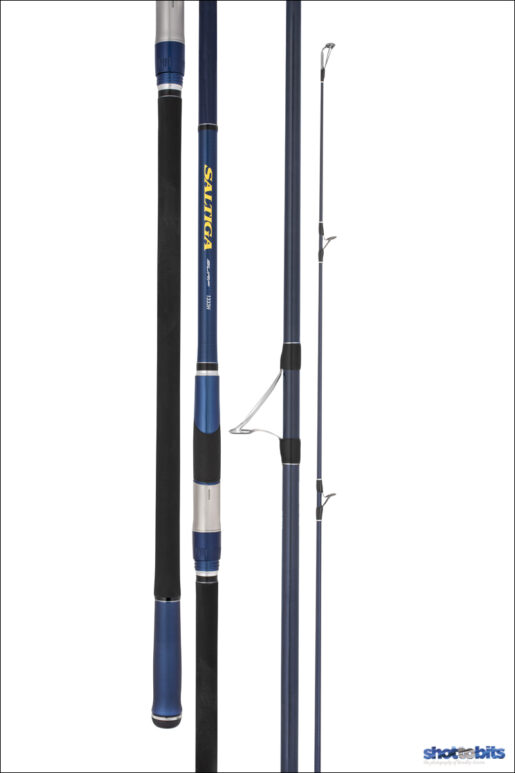 DAIWA 21 SALTIGA SURF