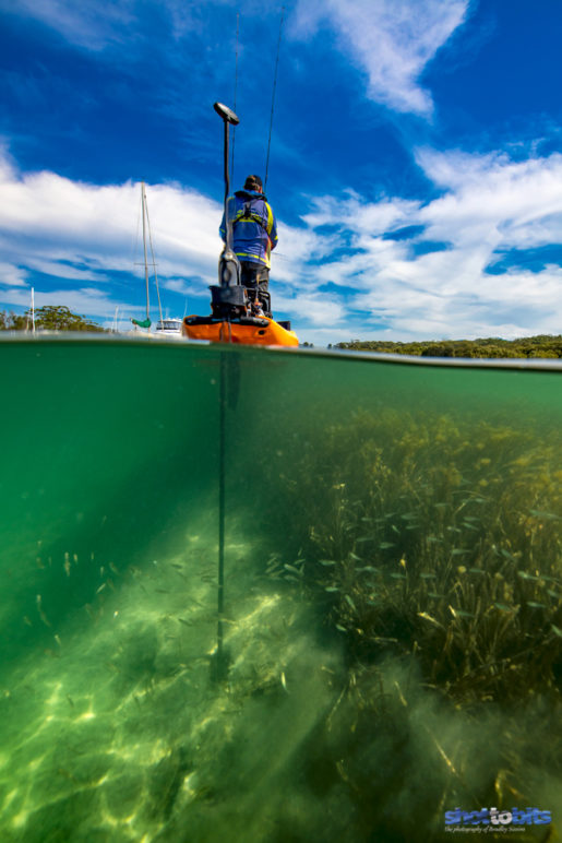 Swimmin With The Fish’s, Currambene Creek, Huskisson, NSW, Australia